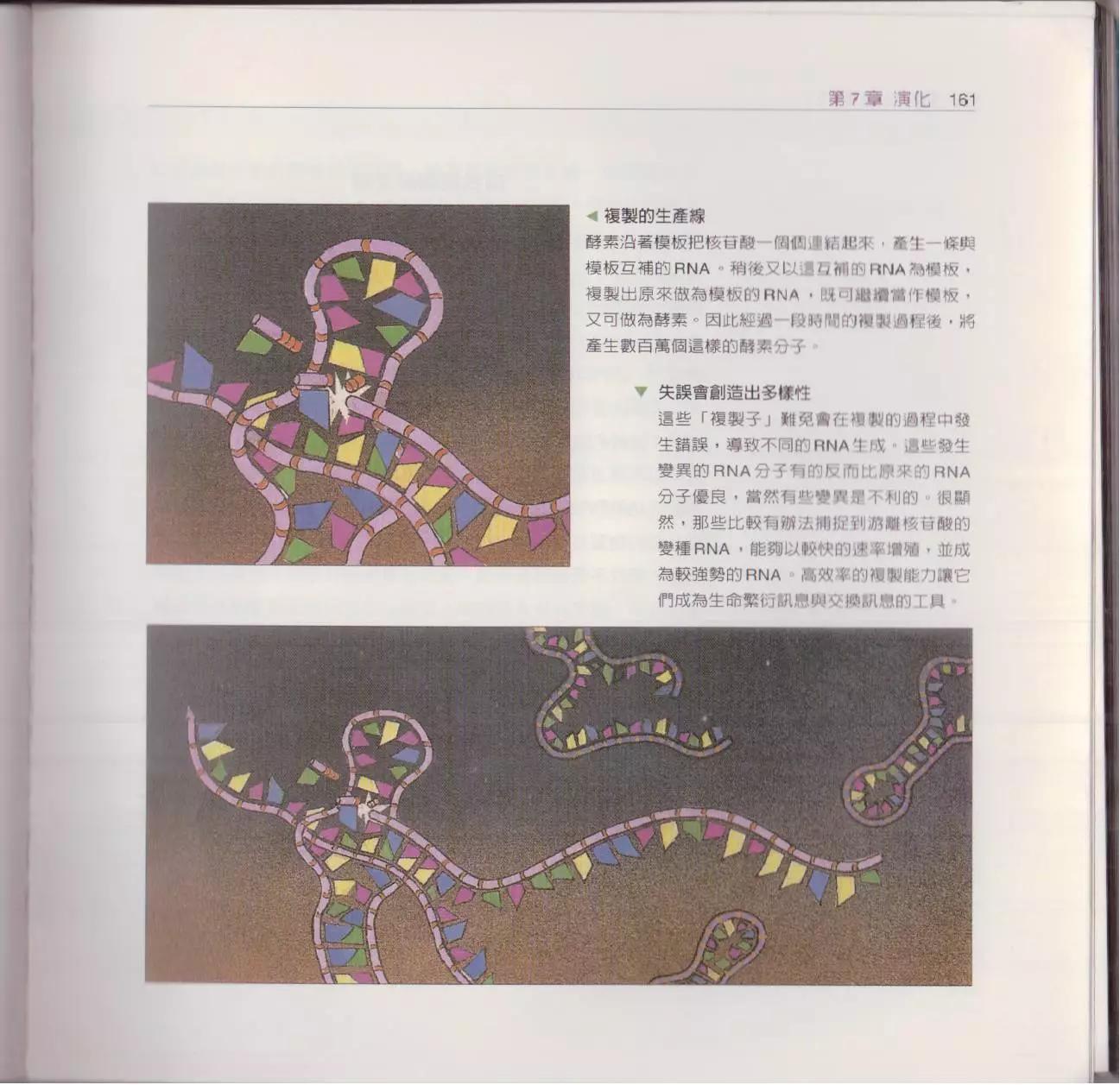 观念生物学 - 第02卷(4/6) - 6