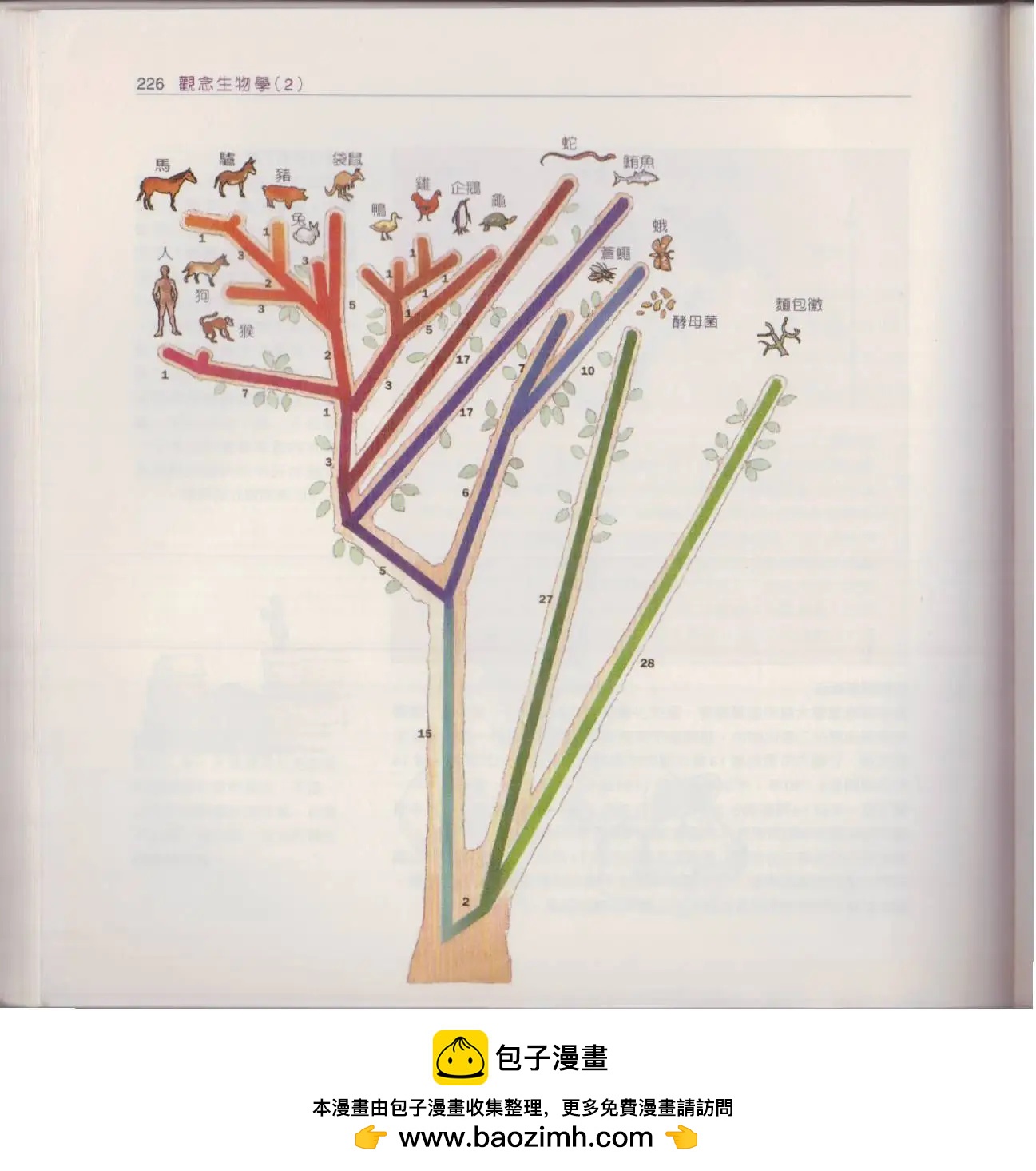 观念生物学 - 第02卷(5/6) - 5