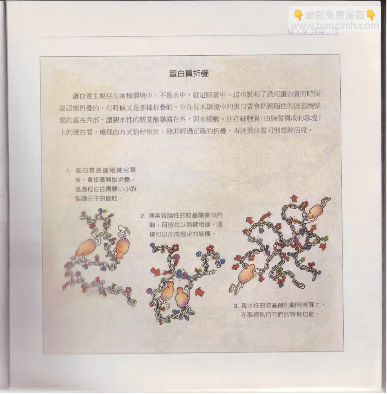 觀念生物學 - 第02卷(1/6) - 2