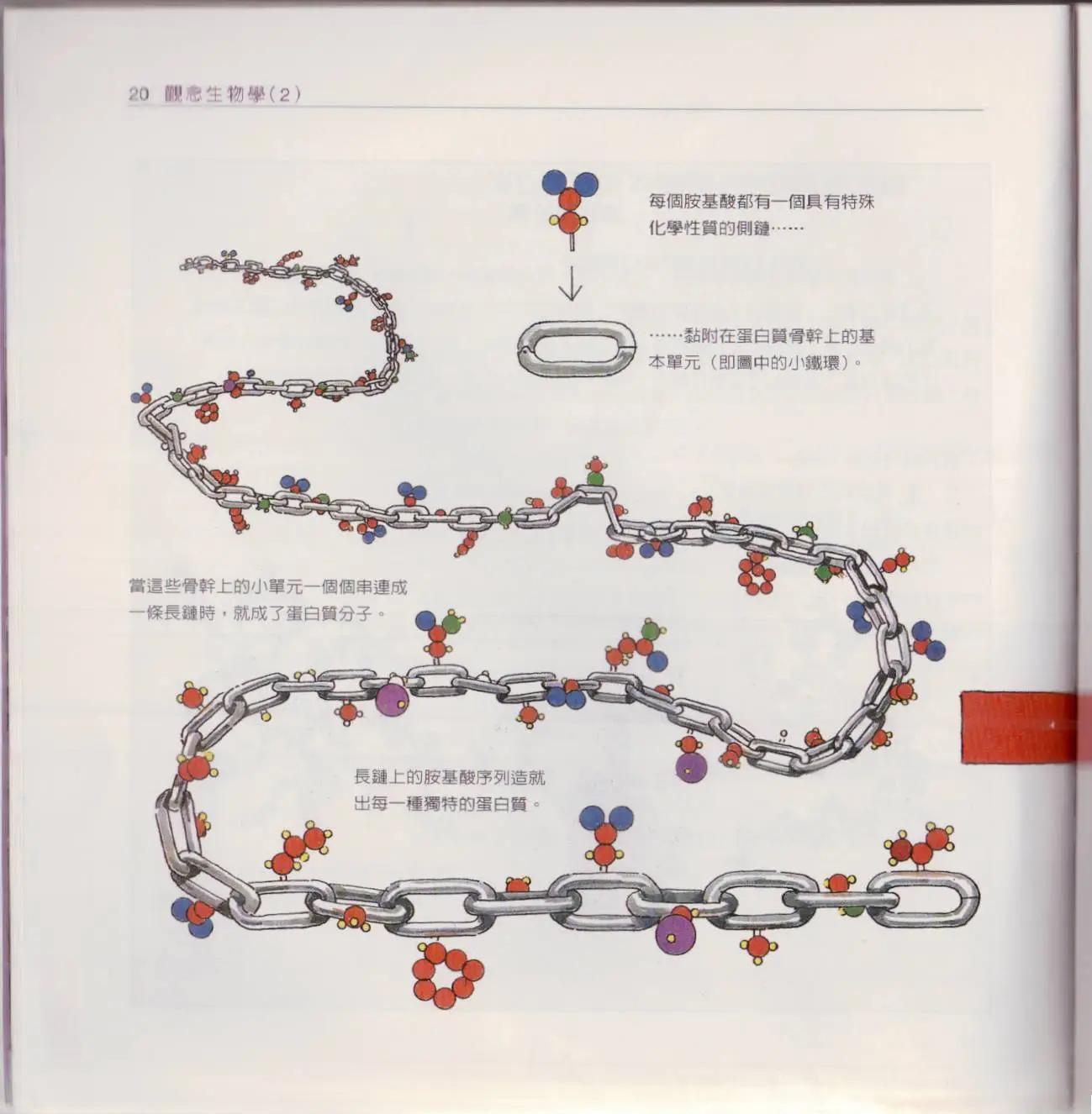 觀念生物學 - 第02卷(1/6) - 3