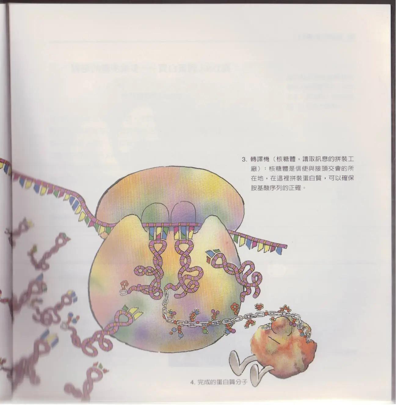 觀念生物學 - 第02卷(1/6) - 4