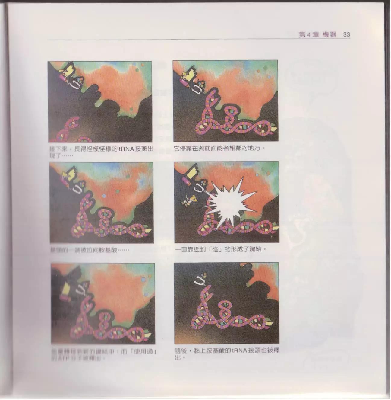 觀念生物學 - 第02卷(1/6) - 8