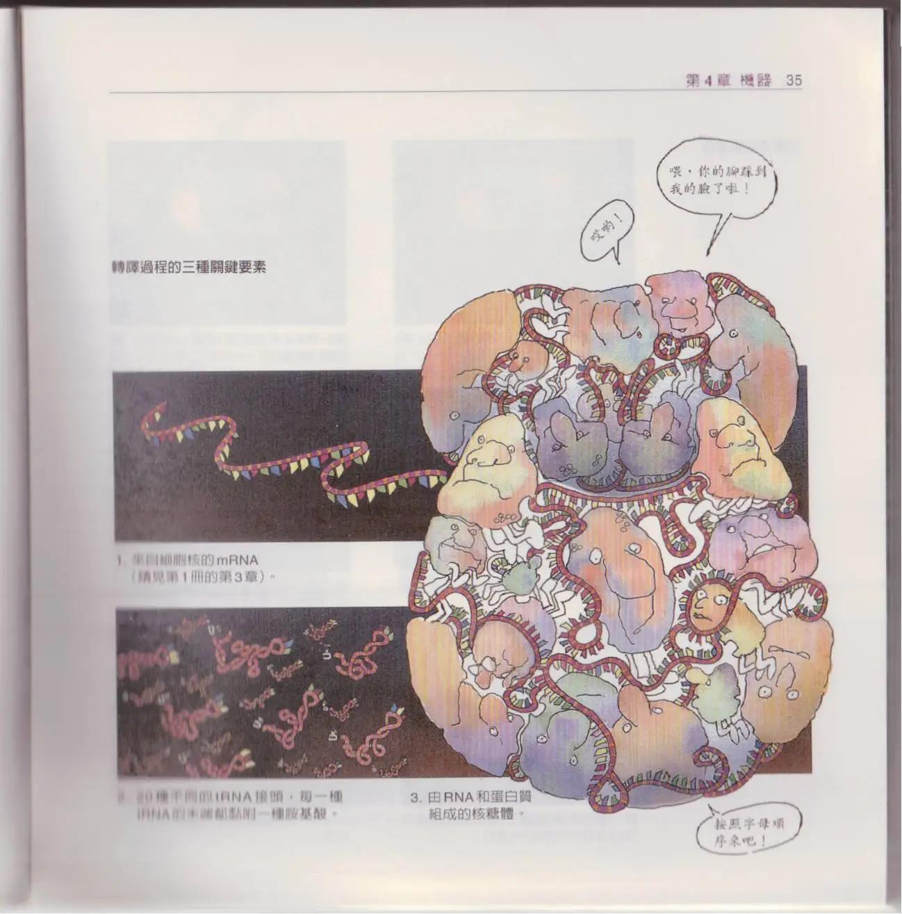 觀念生物學 - 第02卷(1/6) - 2