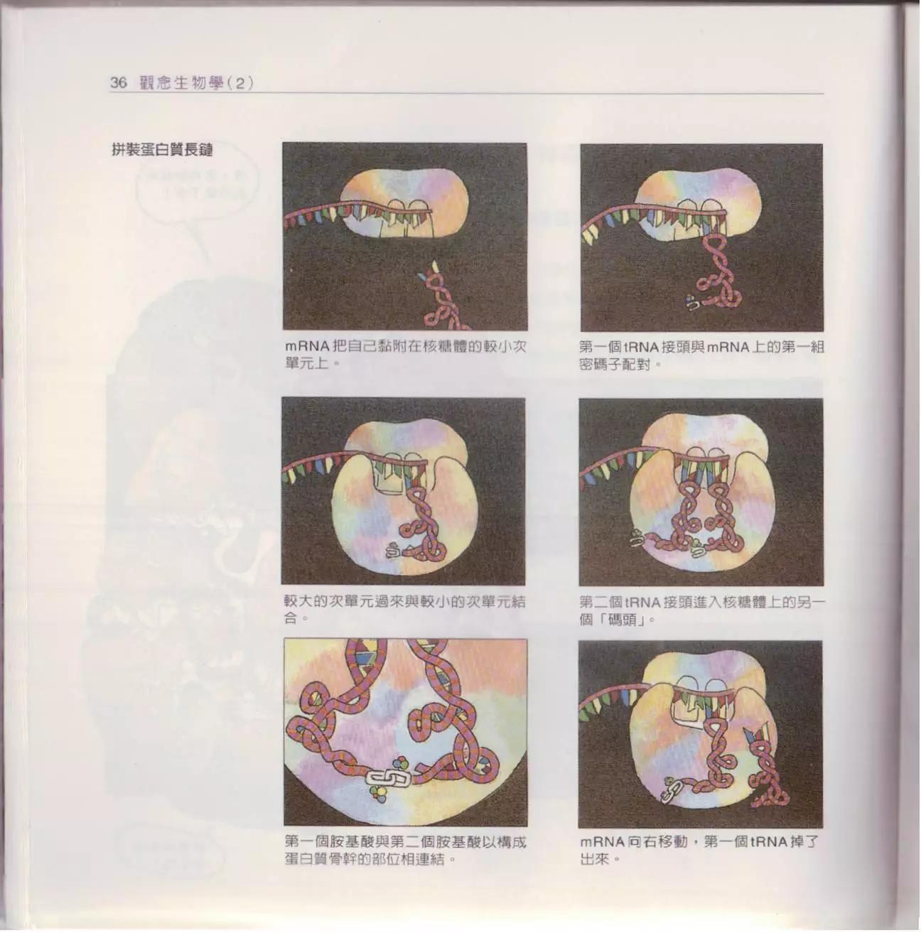 觀念生物學 - 第02卷(1/6) - 3