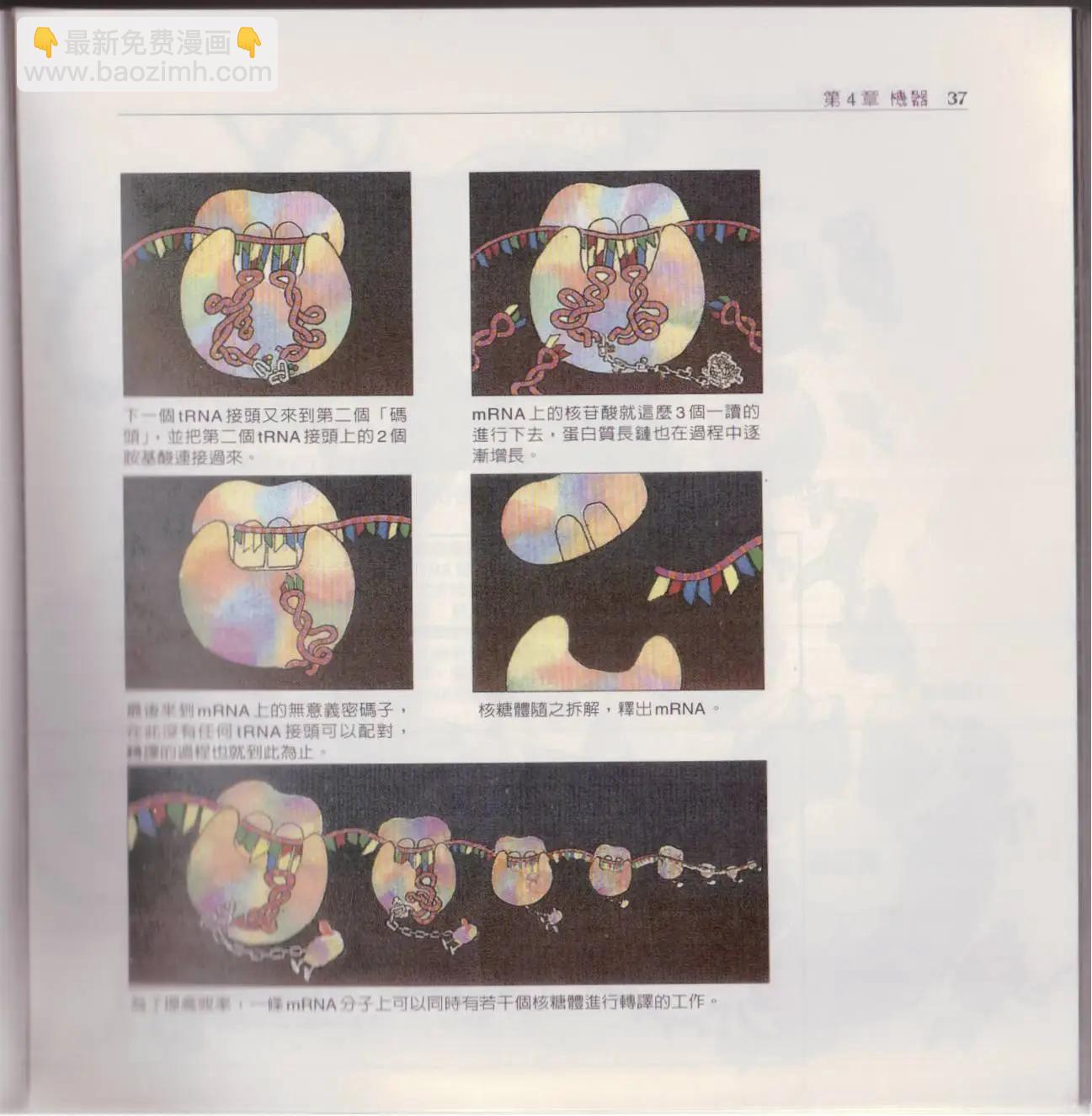 觀念生物學 - 第02卷(1/6) - 4