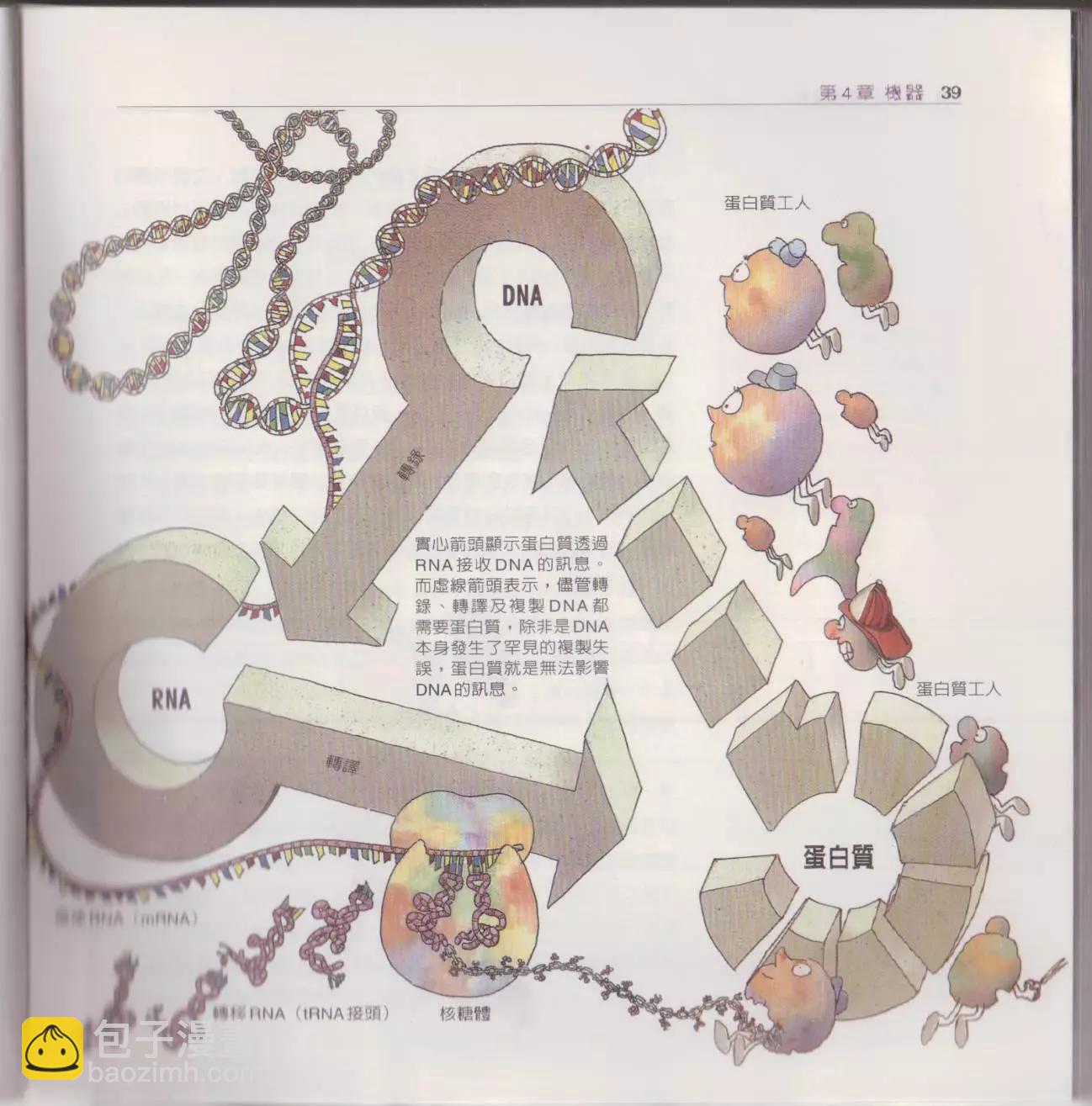 觀念生物學 - 第02卷(1/6) - 6