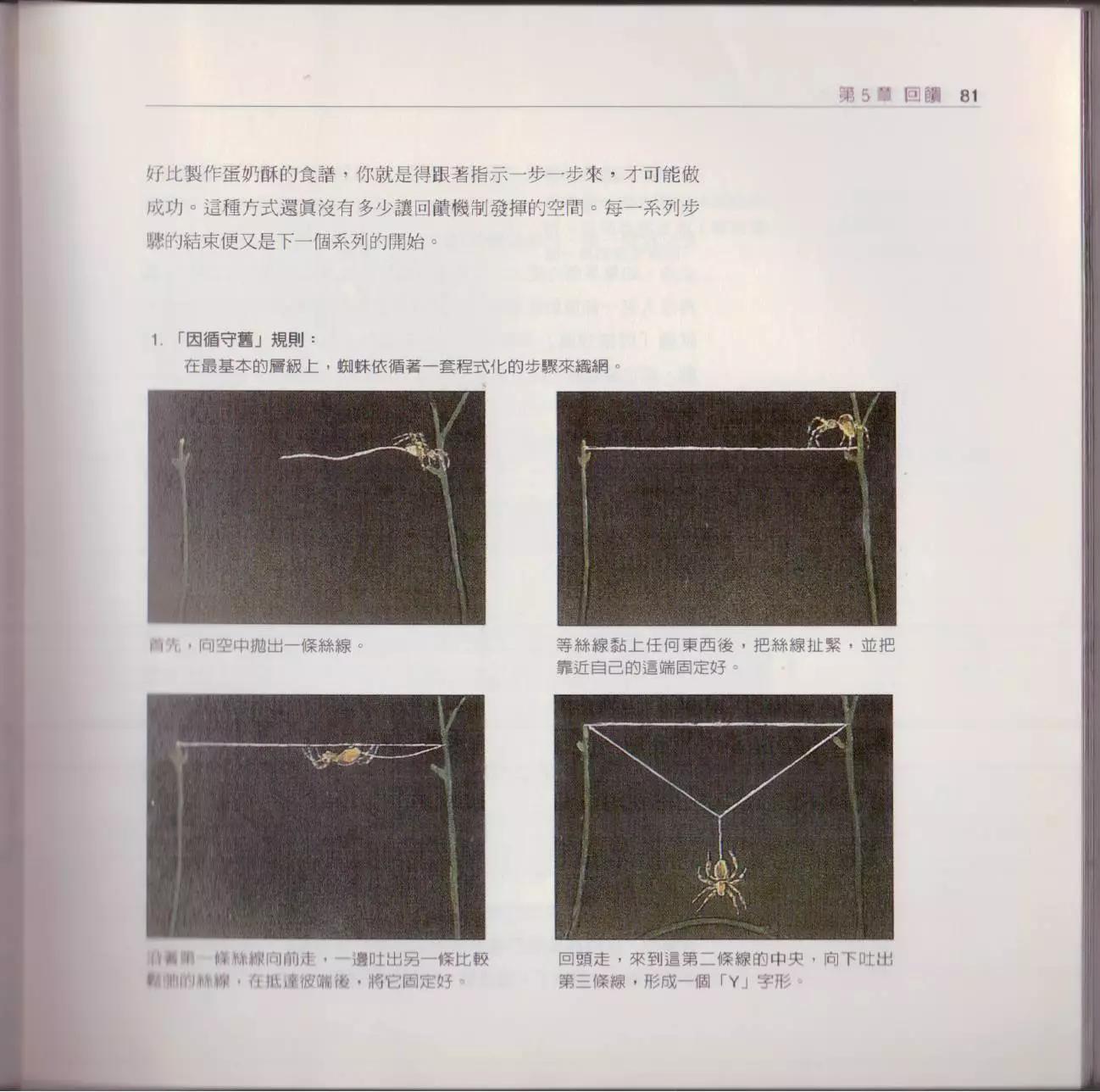 观念生物学 - 第02卷(2/6) - 2