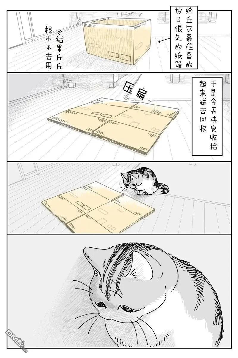 關於養貓我一直是新手 - 第235話 - 1