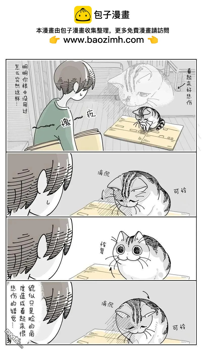 關於養貓我一直是新手 - 第235話 - 1