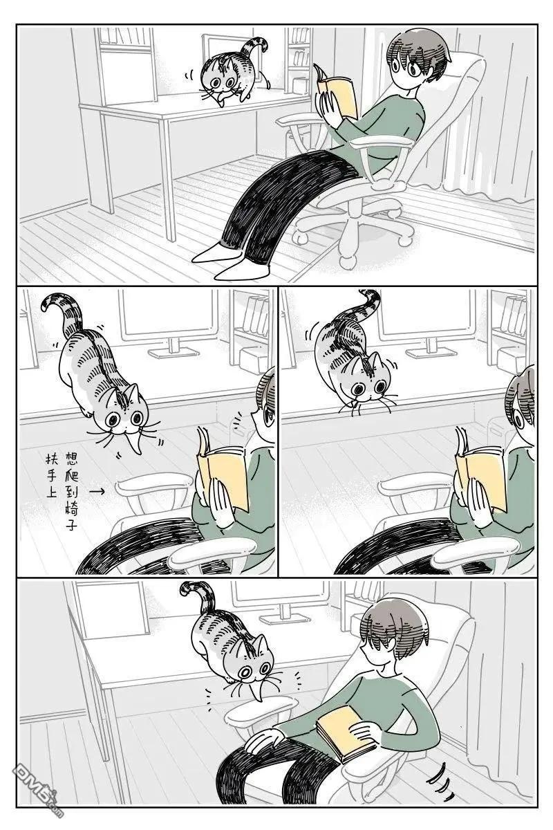 關於養貓我一直是新手 - 第237話 - 1