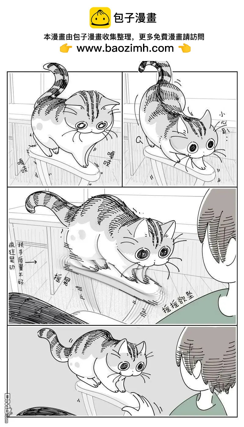 關於養貓我一直是新手 - 第237話 - 1
