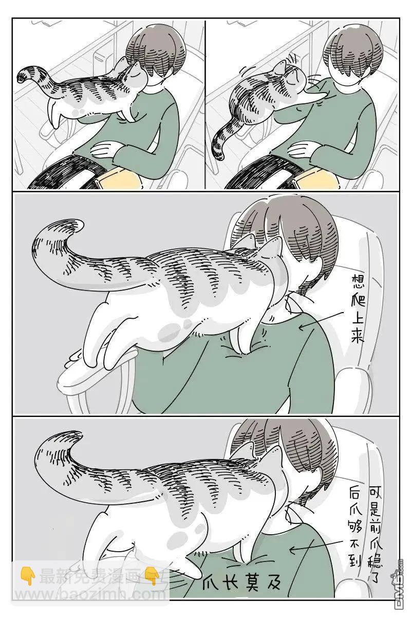 關於養貓我一直是新手 - 第237話 - 1