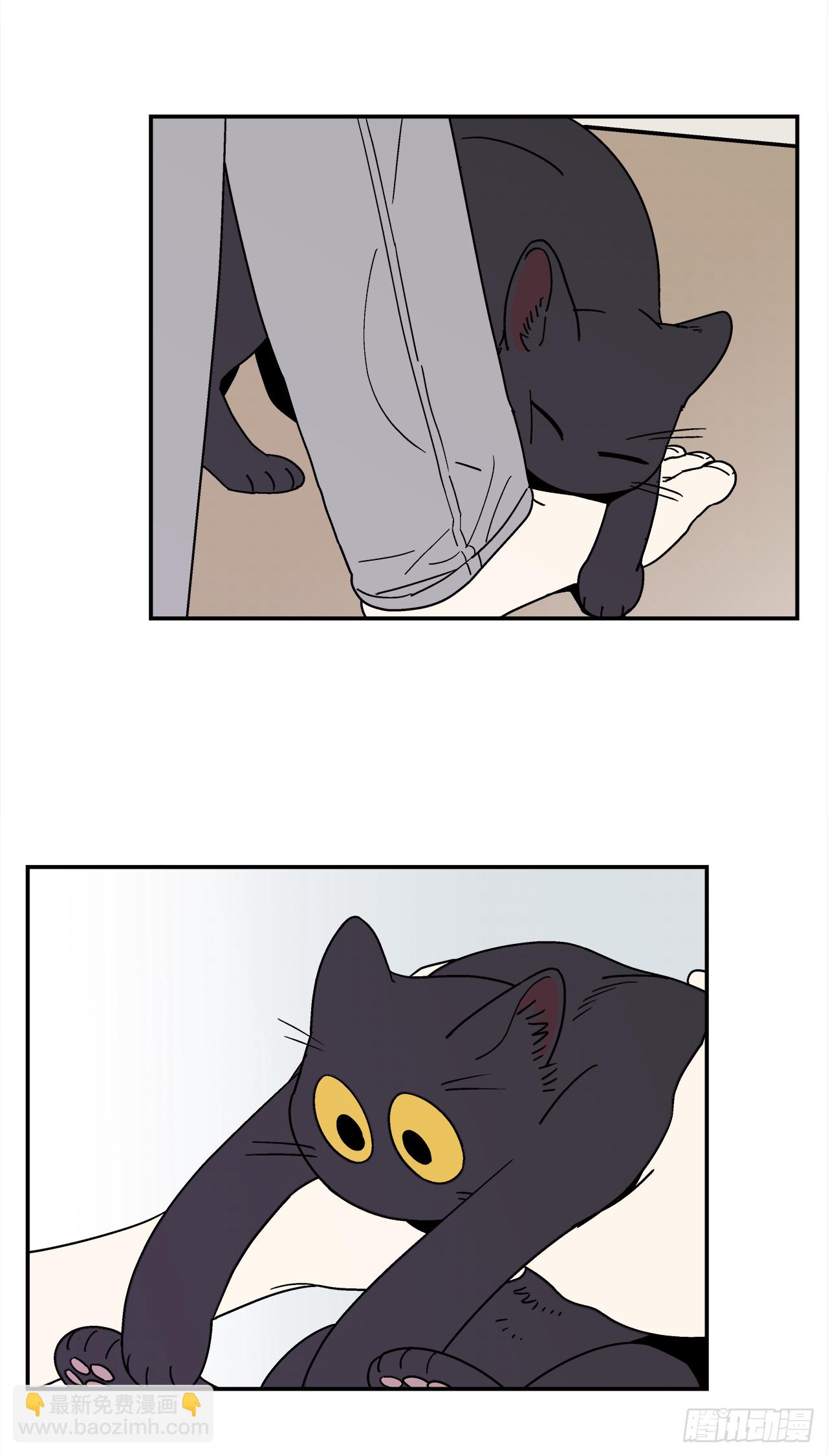 67.番外9 争执-第68话