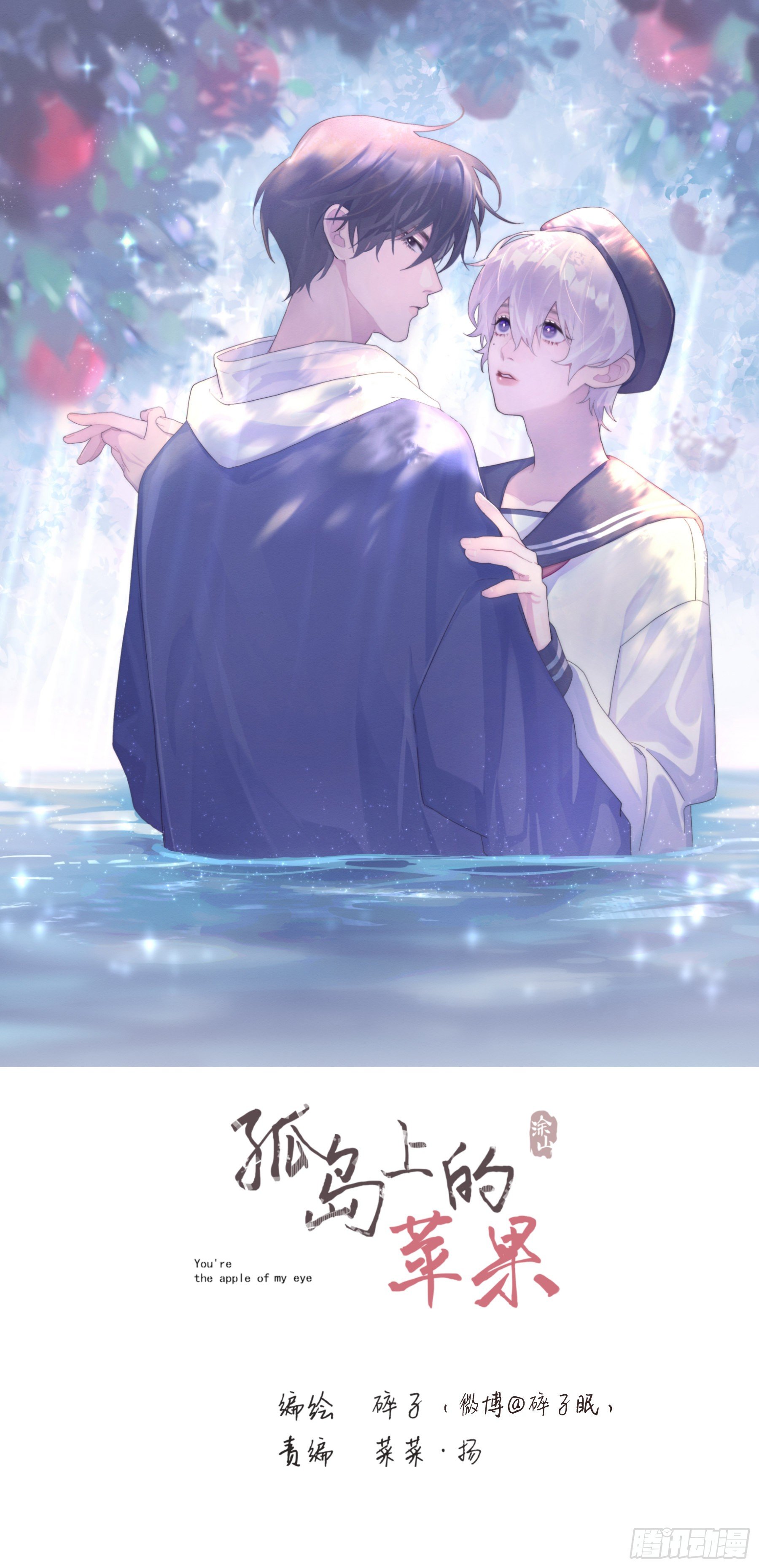 第11颗：决定(1/2)-第14话