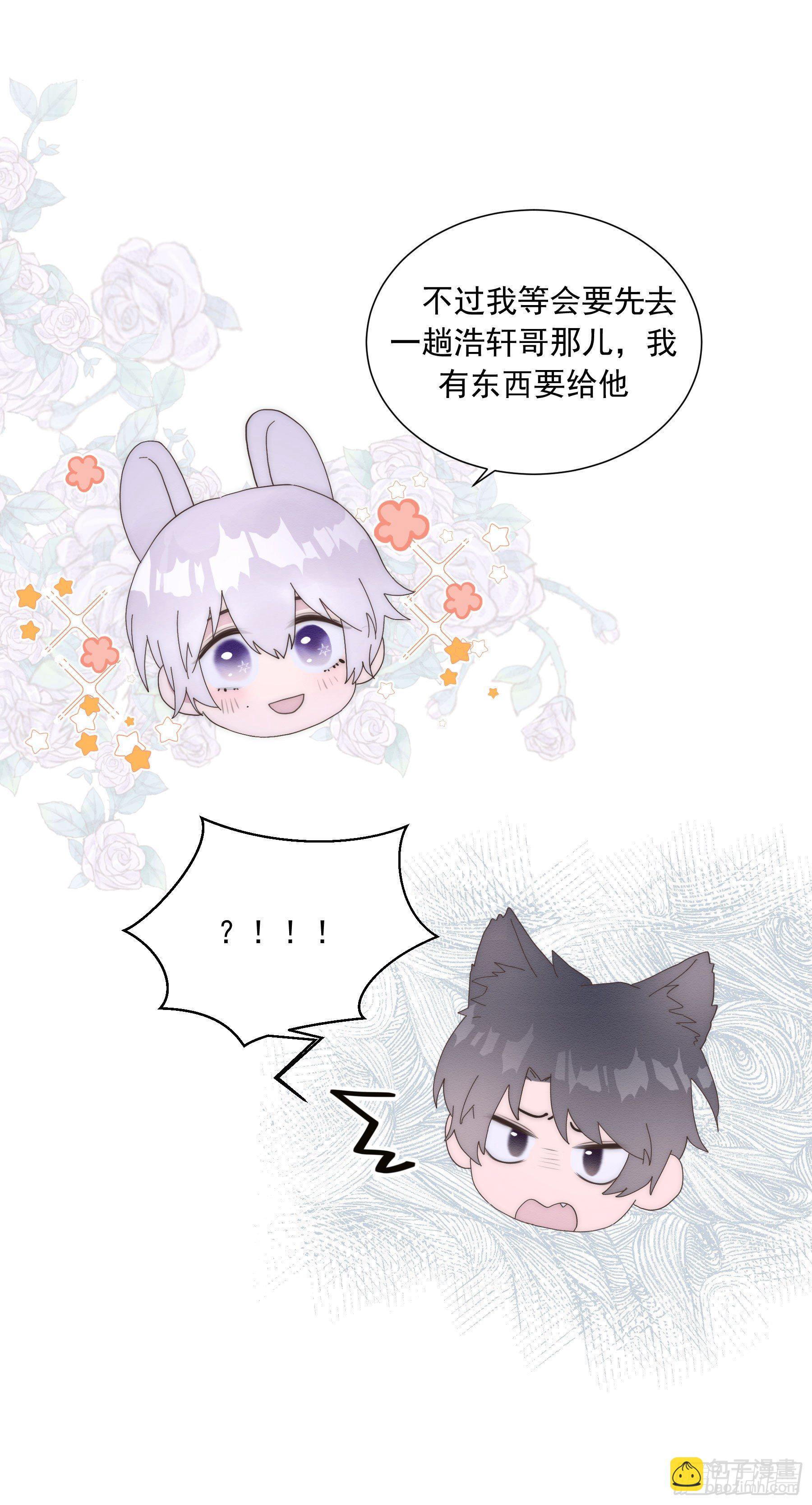 第19颗：小试探(1/2)-第24话