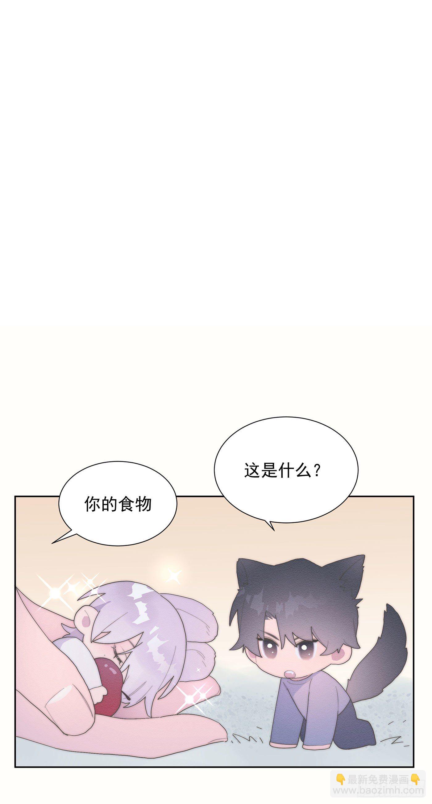 第35颗：争论-第42话