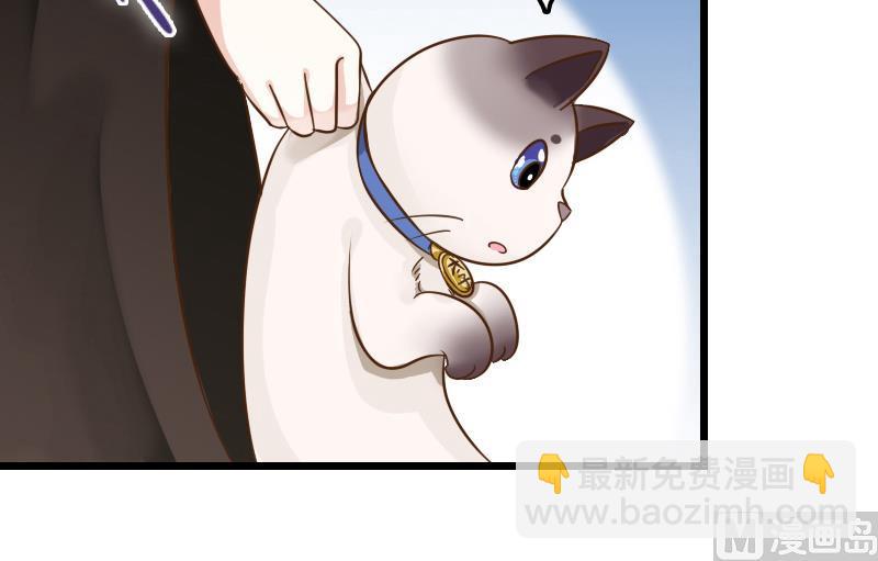 第4话 太子变成猫-第4话