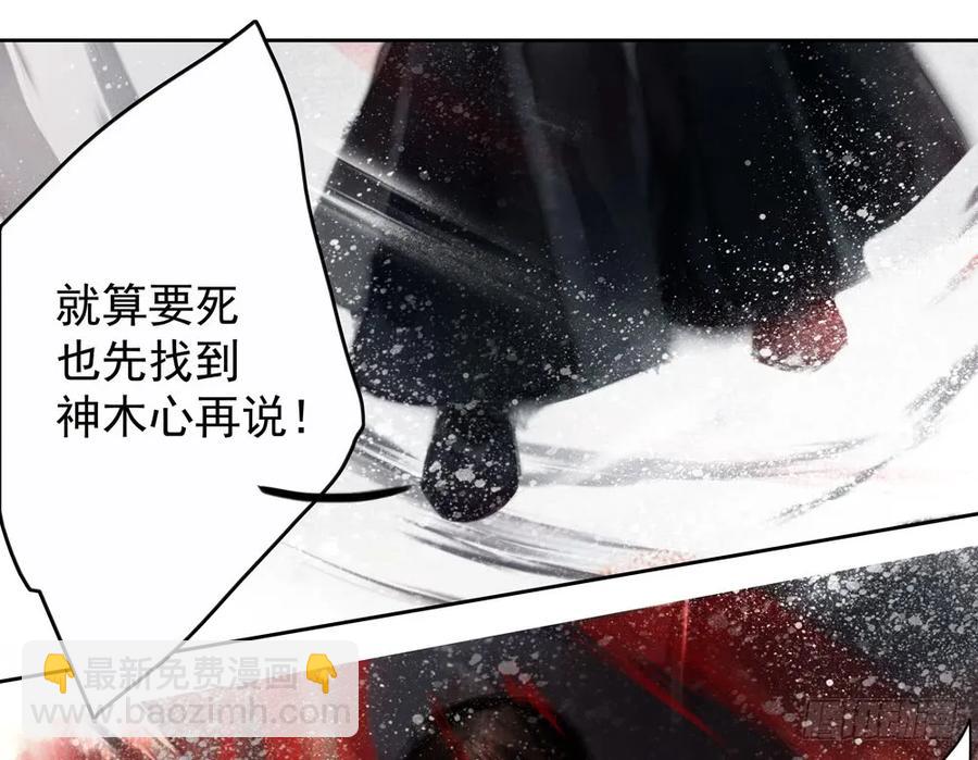 偶遇神秘人，寻到神木心。(1/2)-第84话