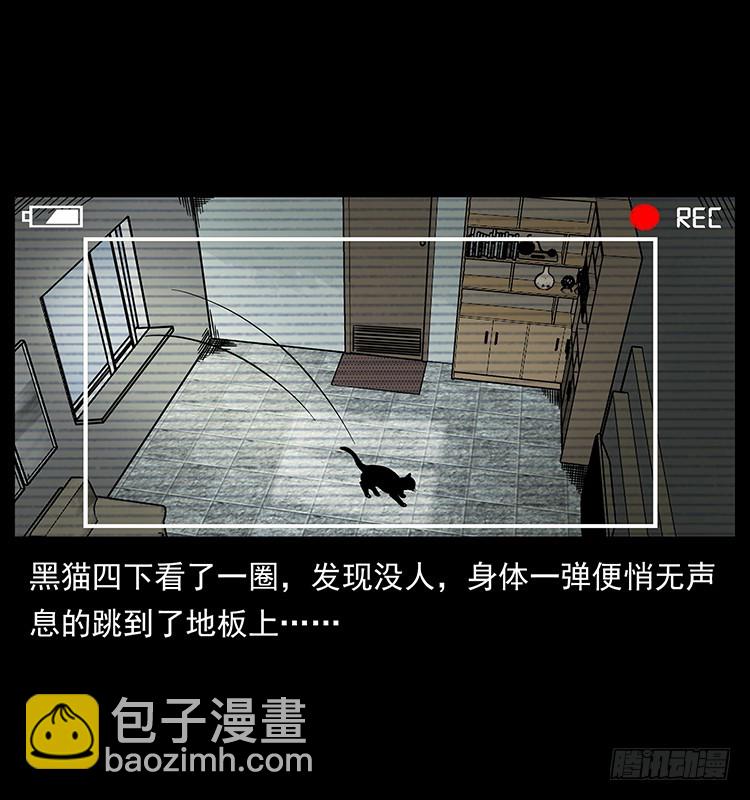 141黑猫杀人事件(1/2)-第126话