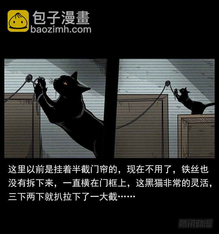 141黑猫杀人事件(1/2)-第126话