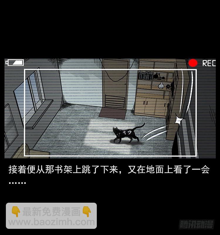 141黑猫杀人事件(1/2)-第126话