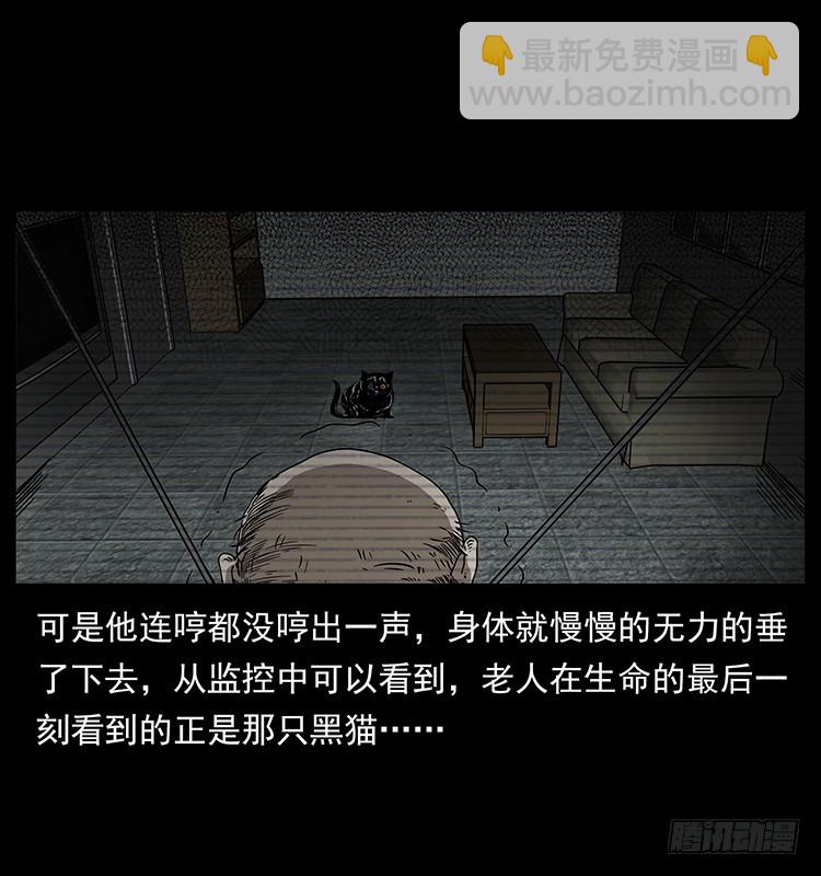 141黑猫杀人事件(1/2)-第126话