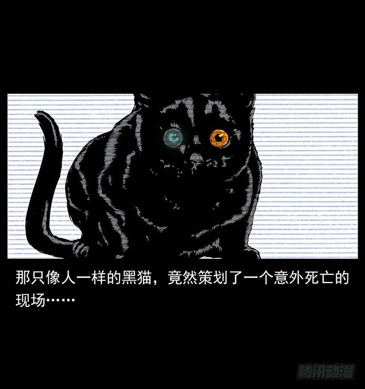 141黑猫杀人事件(1/2)-第126话