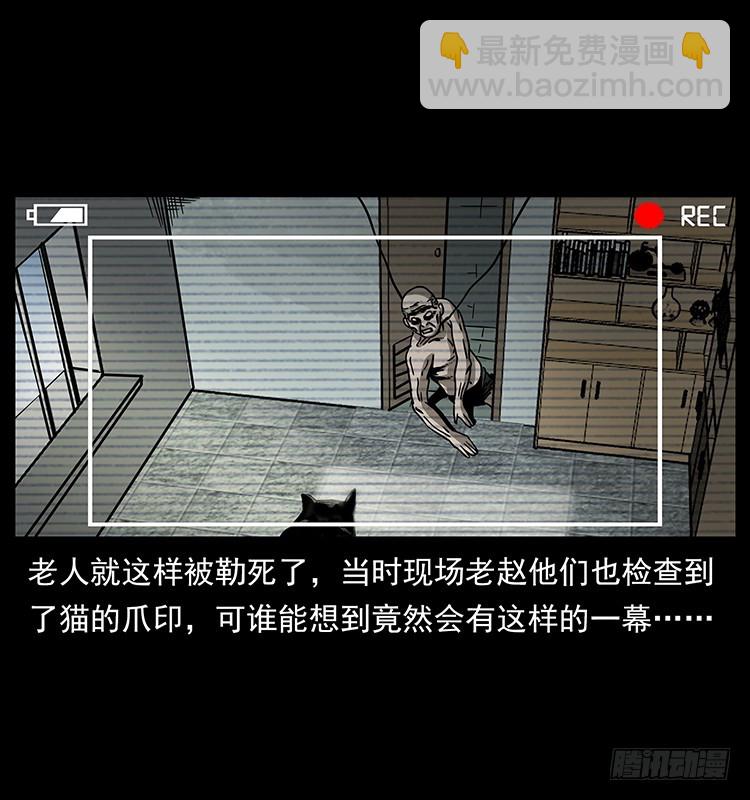 141黑猫杀人事件(1/2)-第126话