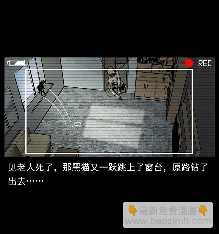 141黑猫杀人事件(1/2)-第126话