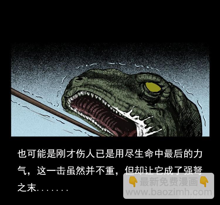 詭案錄 - 67巨黿事件（下）(1/2) - 4