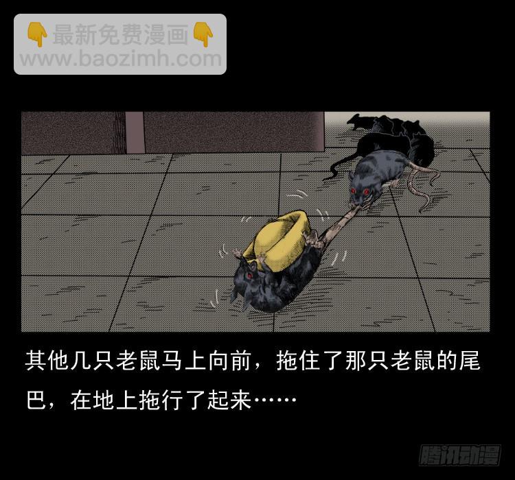 46驱鼠术(1/2)-第40话