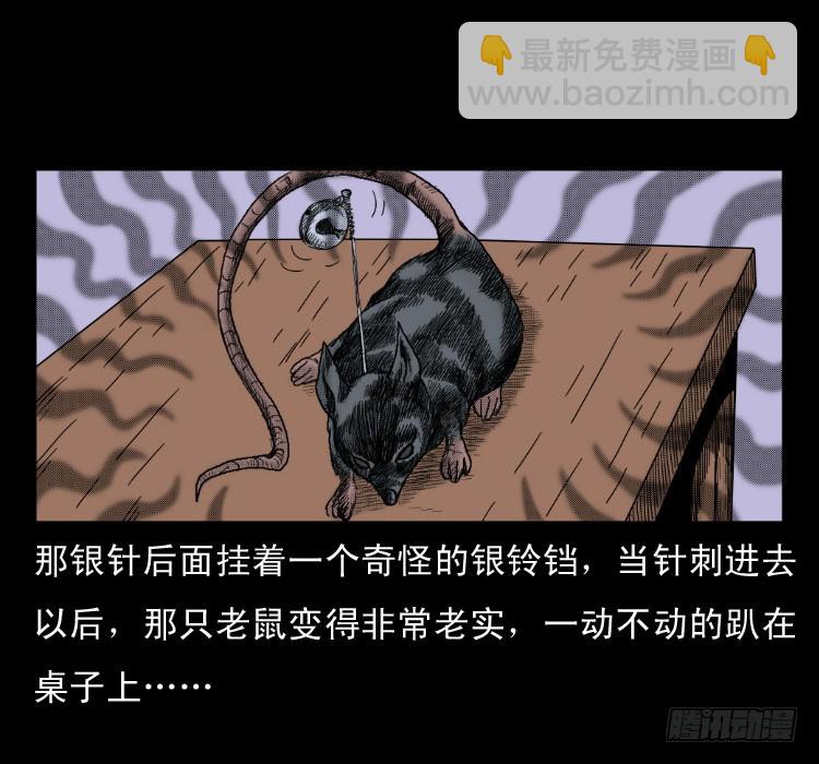 47灰仙儿（上）(1/2)-第66话