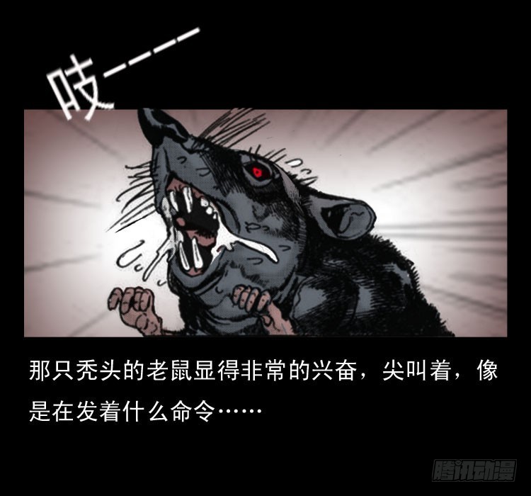 詭案錄 - 48灰仙兒（下）(1/2) - 8