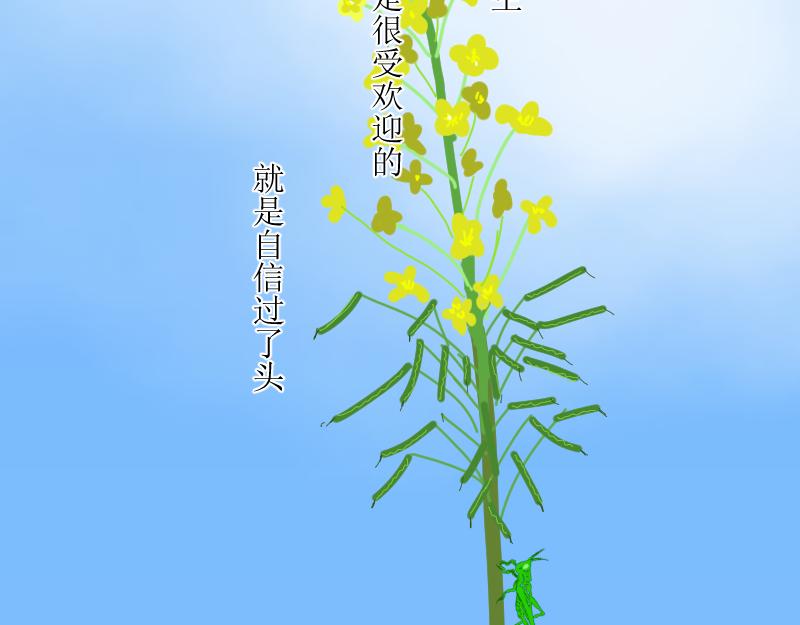 转学生1(1/2)-第4话