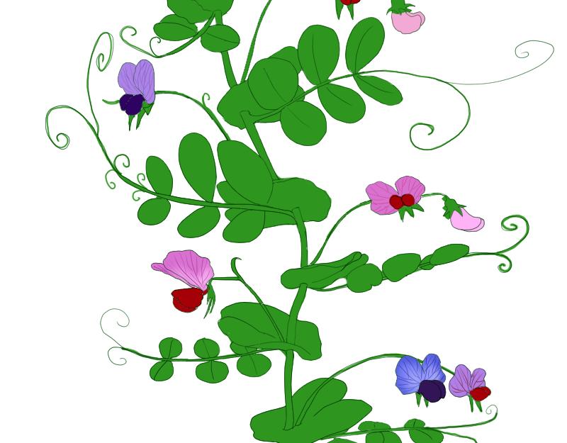 SS型人物-第40话