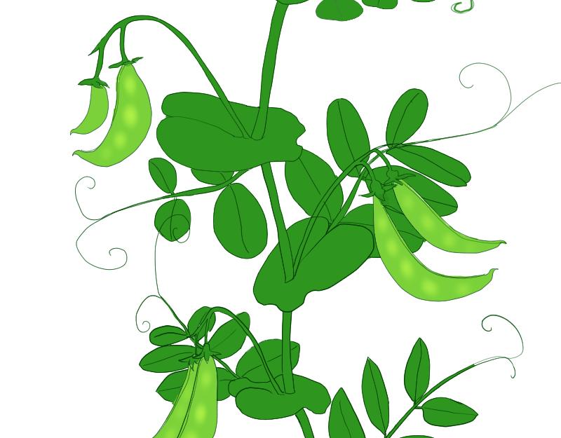 SS型人物-第40话