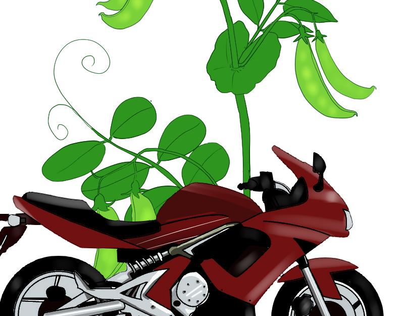 SS型人物-第40话