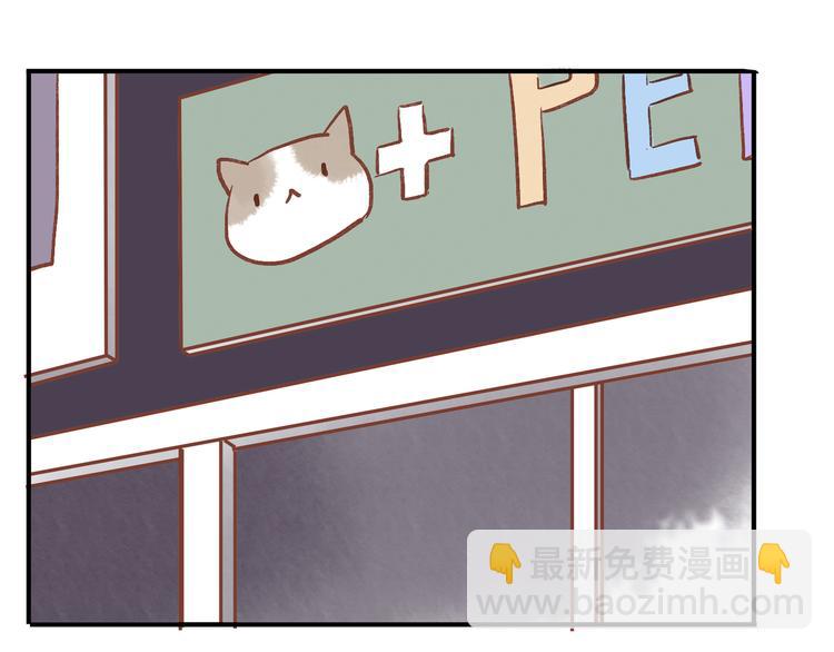 番外 请当我的猫！(1/2)-第10话