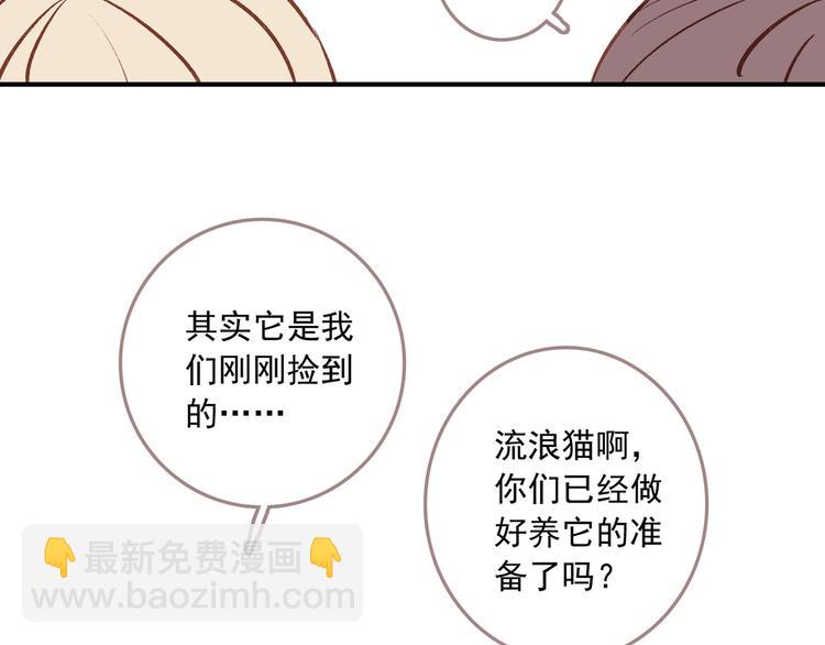 番外 请当我的猫！(1/2)-第10话