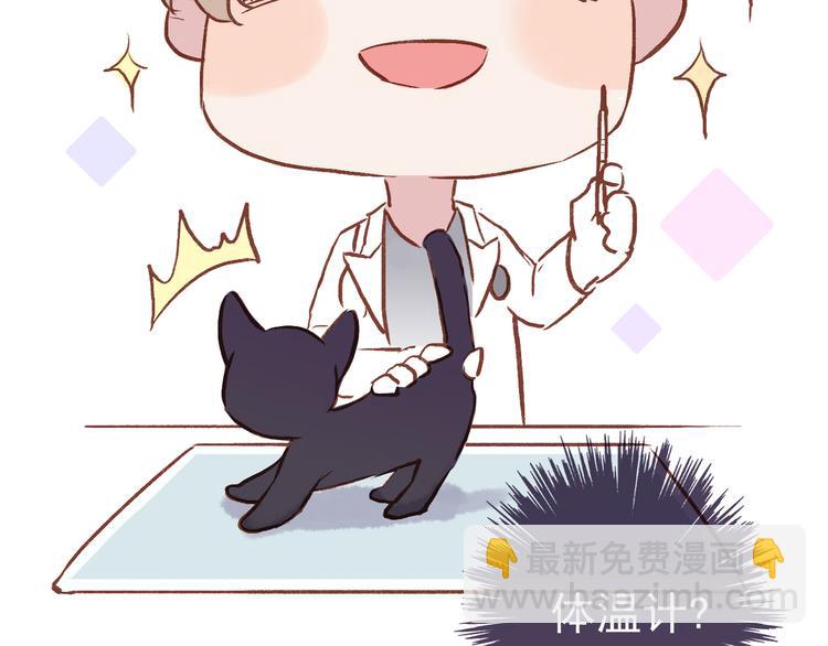 番外 请当我的猫！(1/2)-第10话