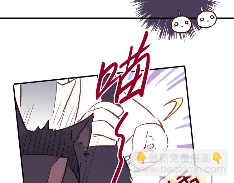 番外 请当我的猫！(1/2)-第10话