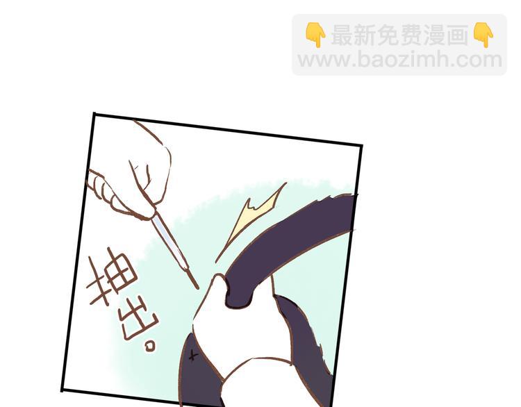 番外 请当我的猫！(1/2)-第10话