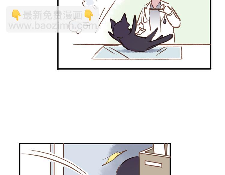 番外 请当我的猫！(1/2)-第10话