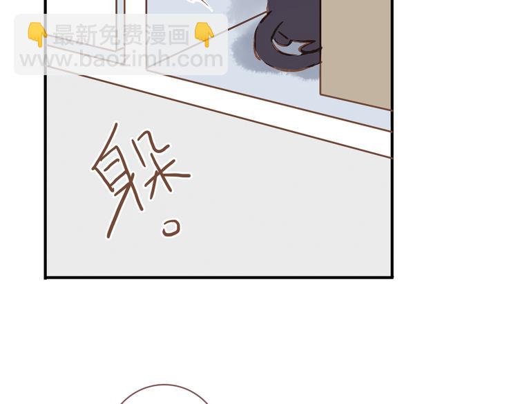 番外 请当我的猫！(1/2)-第10话