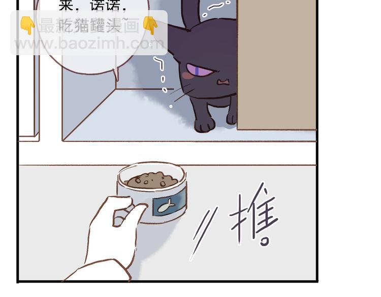 番外 请当我的猫！(1/2)-第10话