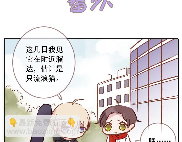 番外 请当我的猫！(1/2)-第10话