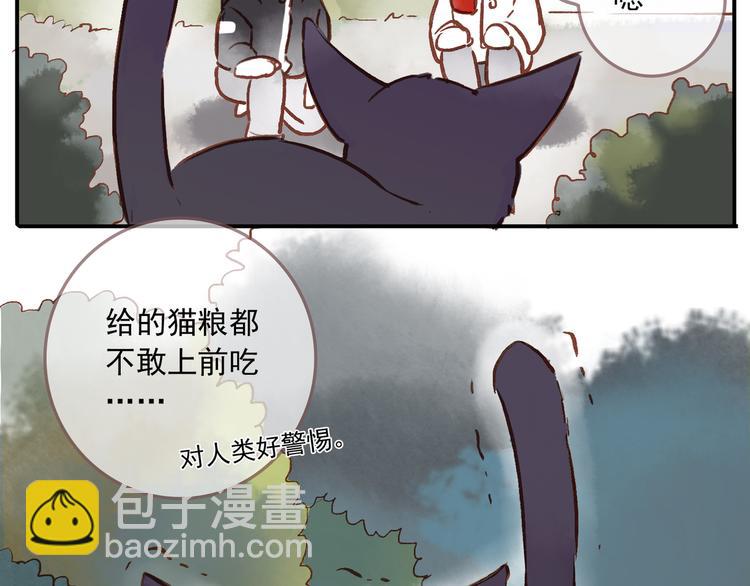 番外 请当我的猫！(1/2)-第10话