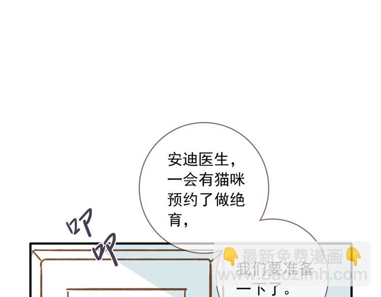 番外 请当我的猫！(1/2)-第10话