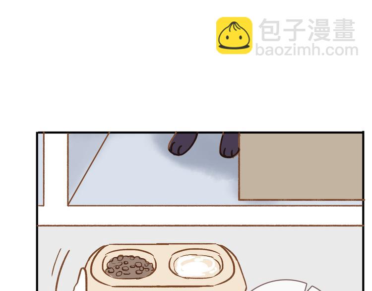 番外 请当我的猫！(1/2)-第10话