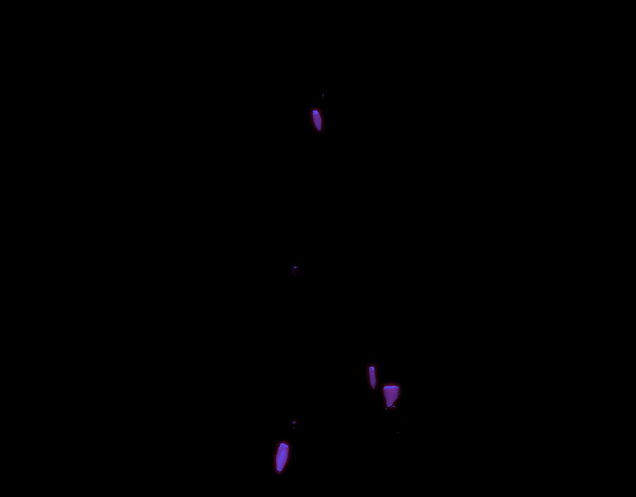 第88话 决心(1/3)-第100话